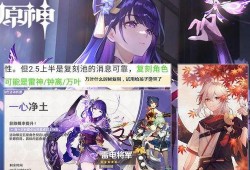 雷电将军最新爆料