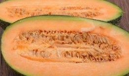 大妹吃哈密瓜视频下载免费,夏日美味尽享