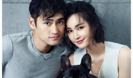 明星大瓜爆料名单最新,明星大瓜名单揭秘，真相令人震惊！