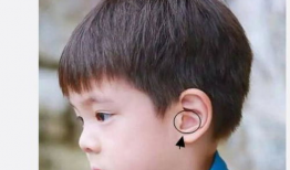 娱乐圈爆料小海绵,揭秘明星家庭生活点滴