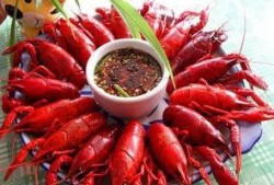 爆料龙虾做法窍门视频讲解,视频教学让你轻松掌握爆炒龙虾技巧