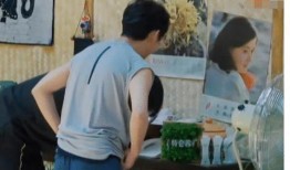 蘑菇爆料最新消息新闻,最新热点新闻速览