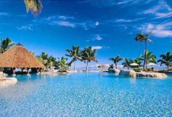 巴厘岛直播爆料最新消息,最新消息揭秘！