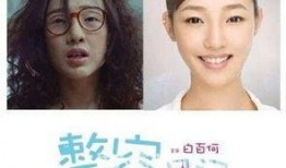 整容日记在线观看,揭秘美丽背后的心酸历程