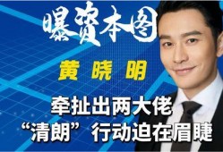 内娱爆料模板大全图片最新,最新图片解析，揭秘娱乐圈幕后真相