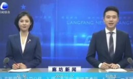 廊坊记者爆料新闻视频下载,新闻视频背后的真相揭秘