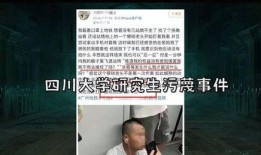 地铁诬告后续爆料事件视频,真相揭露与舆论反转