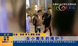 全黄在线观看,揭秘网络色情内容的传播与监管