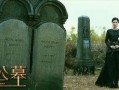 蝴蝶公墓在线观看,穿越时空的爱恋，揭秘神秘古墓之谜