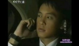 伤痕我心国语版全集在线观看,情感纠葛，命运抉择