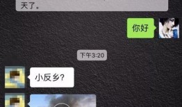 提供爆料视频,一窥事件背后惊人真相