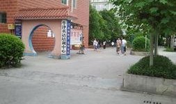 重庆新学校爆料新闻视频,校园风采与教育创新一瞥