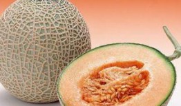 大妹吃哈密瓜视频下载免费,夏日美味尽享