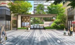 蛇姐最新爆料视频网页,热点事件背后的惊人真相