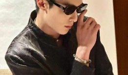 圈内爆料白鹿王鹤棣,揭秘娱乐圈的甜蜜搭档