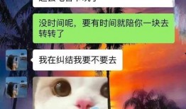 胖猫爆料视频下载,一窥娱乐圈幕后风云