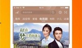 333影视手机在线观看,畅享手机在线观影新体验