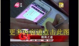 广州g4新闻爆料,揭秘重大事件背后真相