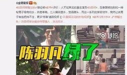 济南出轨爆料视频最新,真相与争议交织