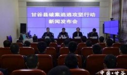 甘谷县新闻爆料,聚焦民生热点，揭示社会现象