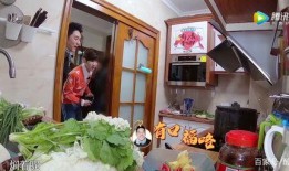 全家带凳子吃瓜免费观看,共享夏日清凉时光