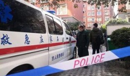 石家庄警医最新爆料,揭秘事件背后惊人真相
