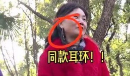 相亲爆料视频大全集免费观看,揭秘真实相亲现场，免费观看精彩瞬间