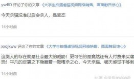 网红爆料视频qq群号,揭秘网络红人幕后秘密