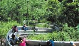 石家庄滑道爆料案件最新,真相大白，疑云终散