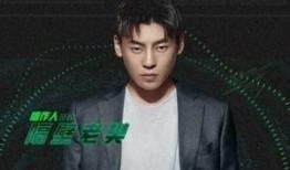 隔壁老樊被爆料视频播放,揭秘背后真相与网络舆论影响