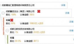 亿嘉琏最新爆料,揭秘行业黑幕，深度剖析真相！