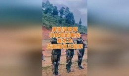 爆料缅北高清视频下载,震撼爆料背后的真相