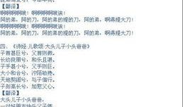 娱乐大爆料许嵩歌词翻译,许嵩歌词中的情感密码