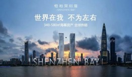 深圳湾姜先生最新爆料,揭秘最新热点事件内幕