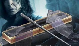 哈利波特魔杖最新爆料,神秘力量与传奇传承的全新篇章