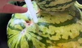 吃瓜搞怪配音视频大全免费,吃瓜搞怪视频大全免费来袭！