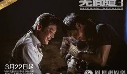 电影无间道3在线观看,终极对决——卧底风云再起，正义与邪恶的终极较量