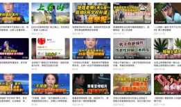 大象新闻新闻热点爆料,揭秘最新热点事件，带你直击现场！