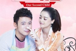 二胎电视剧在线观看,温馨家庭新篇章