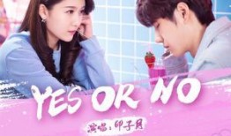 yes or no在线观看