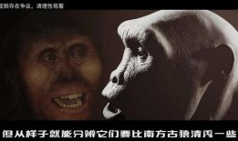 真实人类在线观看,揭秘网络世界的秘密生活