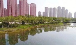 天津北辰区最新爆料,揭秘区域发展新动向与民生热点