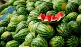 网红吃瓜大全集,揭秘娱乐圈幕后风云