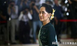 道士爆料缅甸视频,缅甸神秘事件视频曝光，真相令人震惊