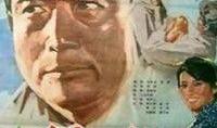 龙种在线观看,探寻神秘生物的奇幻之旅