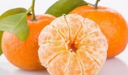 娱乐吃瓜酱砂糖橘,揭秘娱乐圈甜蜜背后的酸辣故事