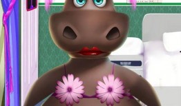 河马公主爆料视频大全集,揭秘幕后真相与精彩瞬间