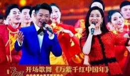 春晚演员爆料最新情况视频,揭秘幕后精彩瞬间与幕后故事