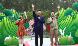 长春最新爆料摆摊视频,最新摆摊视频揭秘街头烟火气