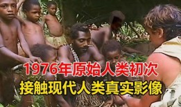 真实人类在线观看,揭秘网络世界的秘密生活